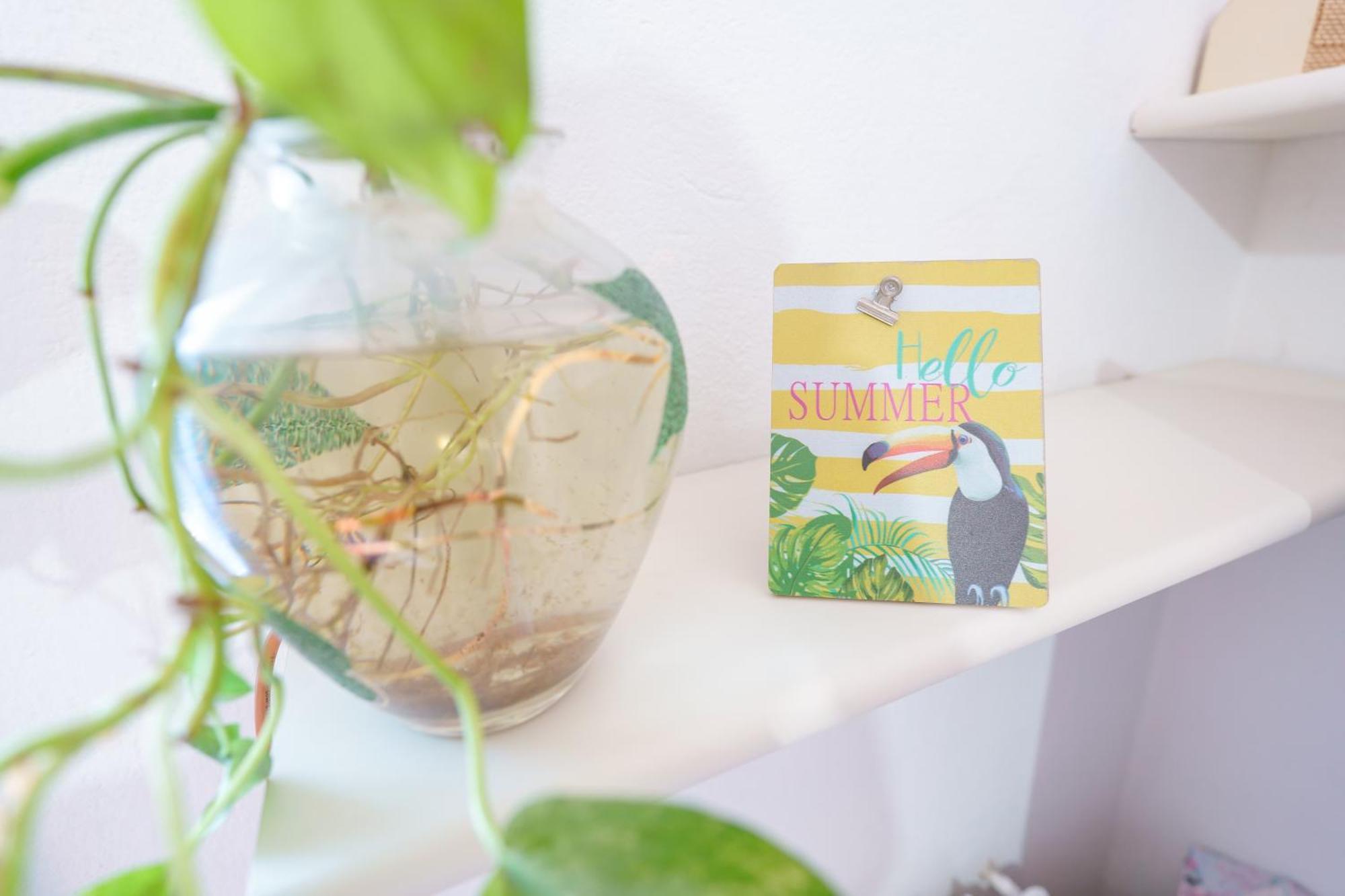 B&B Pothos - Eng Ita - Air Conditioning Wi-Fi Fridge Netflix Local Guide - Aria Condizionata, Frigo, Internet, Guida Locale Cagliari Exteriör bild